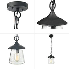 Load image into Gallery viewer, Glass Globe Outdoor Hanging Light
