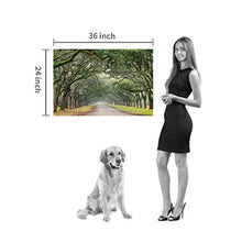 Load image into Gallery viewer, Green Oak Wall Canvas
