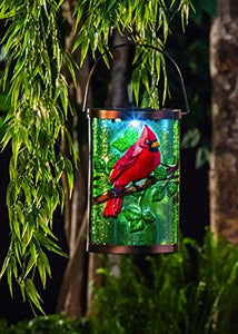 Cardinal Solar Hanging Lantern