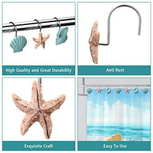 Load image into Gallery viewer, Seashell Shower Curtain Hooks (Set of 12)
