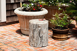 Pine Tree Wood Stools