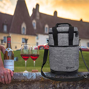 4 Bottle Wine Cooler Bag