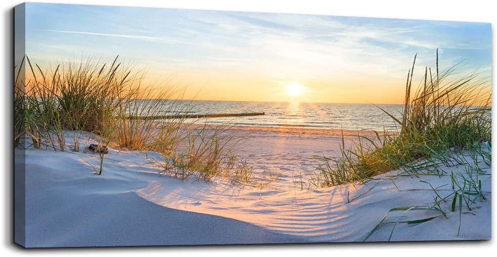 Beach Grass Ocean Landscape